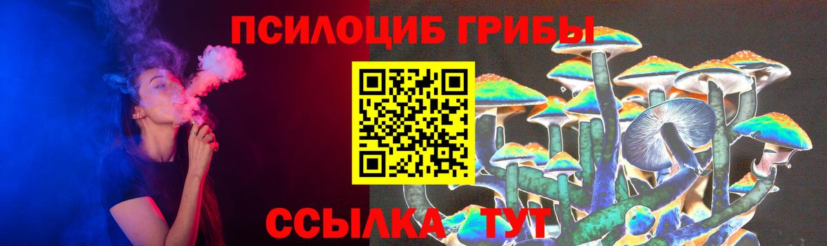 Зеленокумск  Псилоцибиновые грибы Psilocybine cubensis  Вход с VPN 
